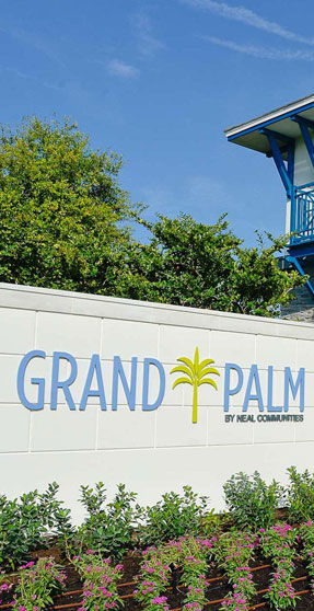 Grand Palm
